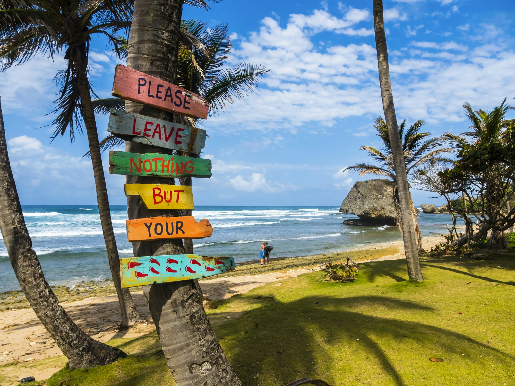 Travel News - Caribbean, Barbados, Saint Joseph, Signs on palm at Bathsheba Park