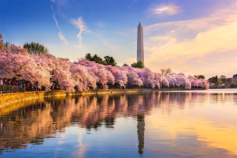 Travel News - Washington DC in Spring Travel News - Washington DC in Spring