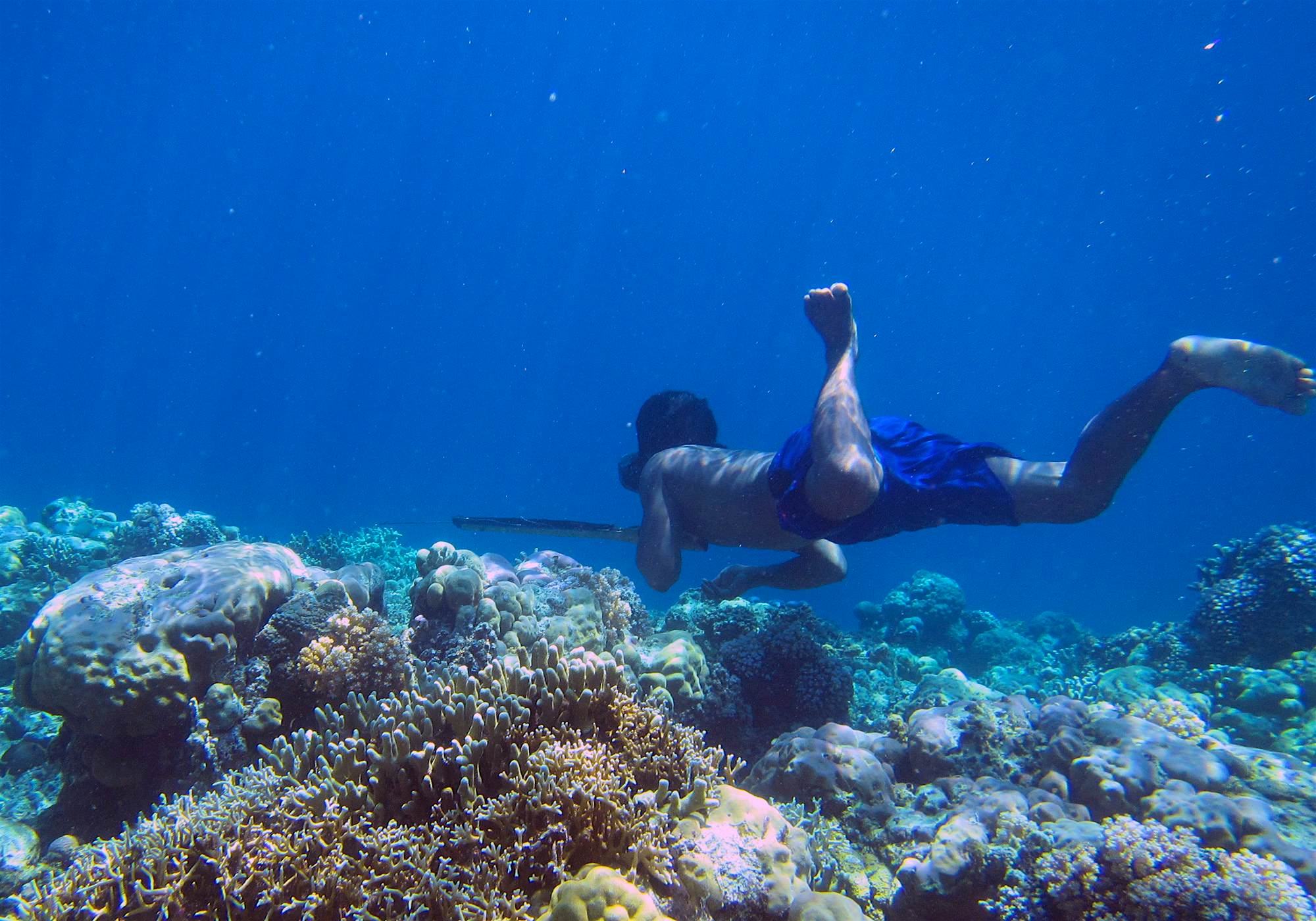 Travel News - Bajau diver A Bajau diver at work