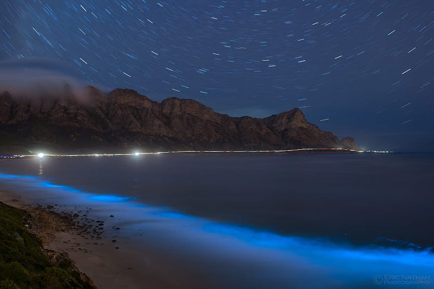 Timelapse photographer captures SA's twinkling bioluminescence