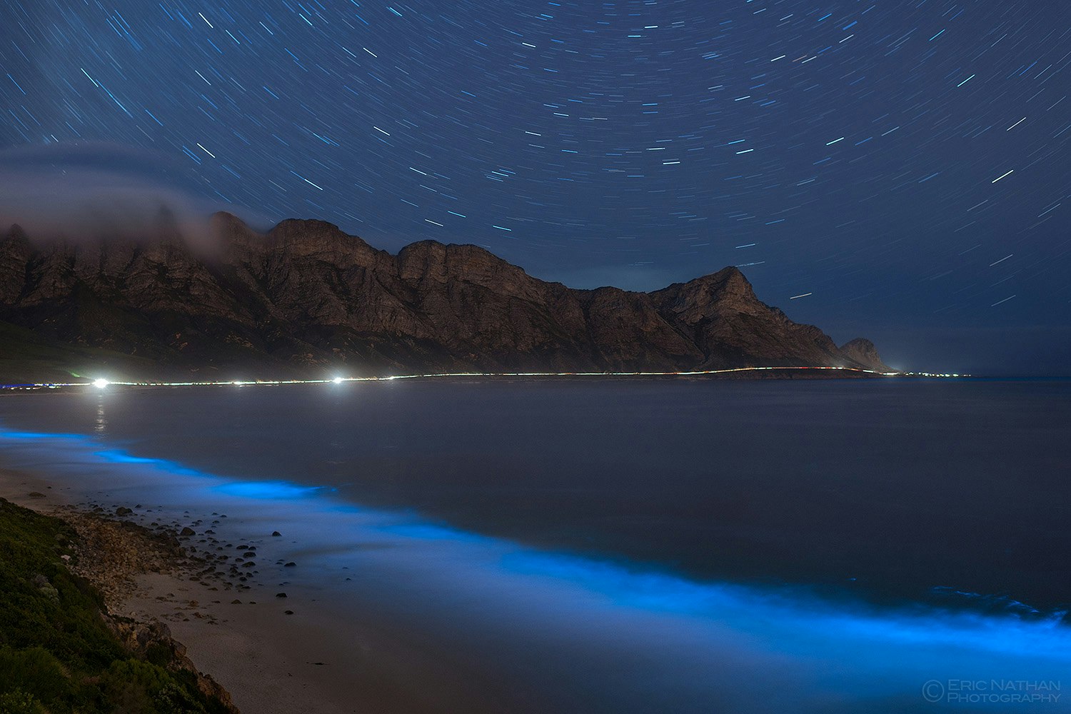 Bioluminescence in Cape Town