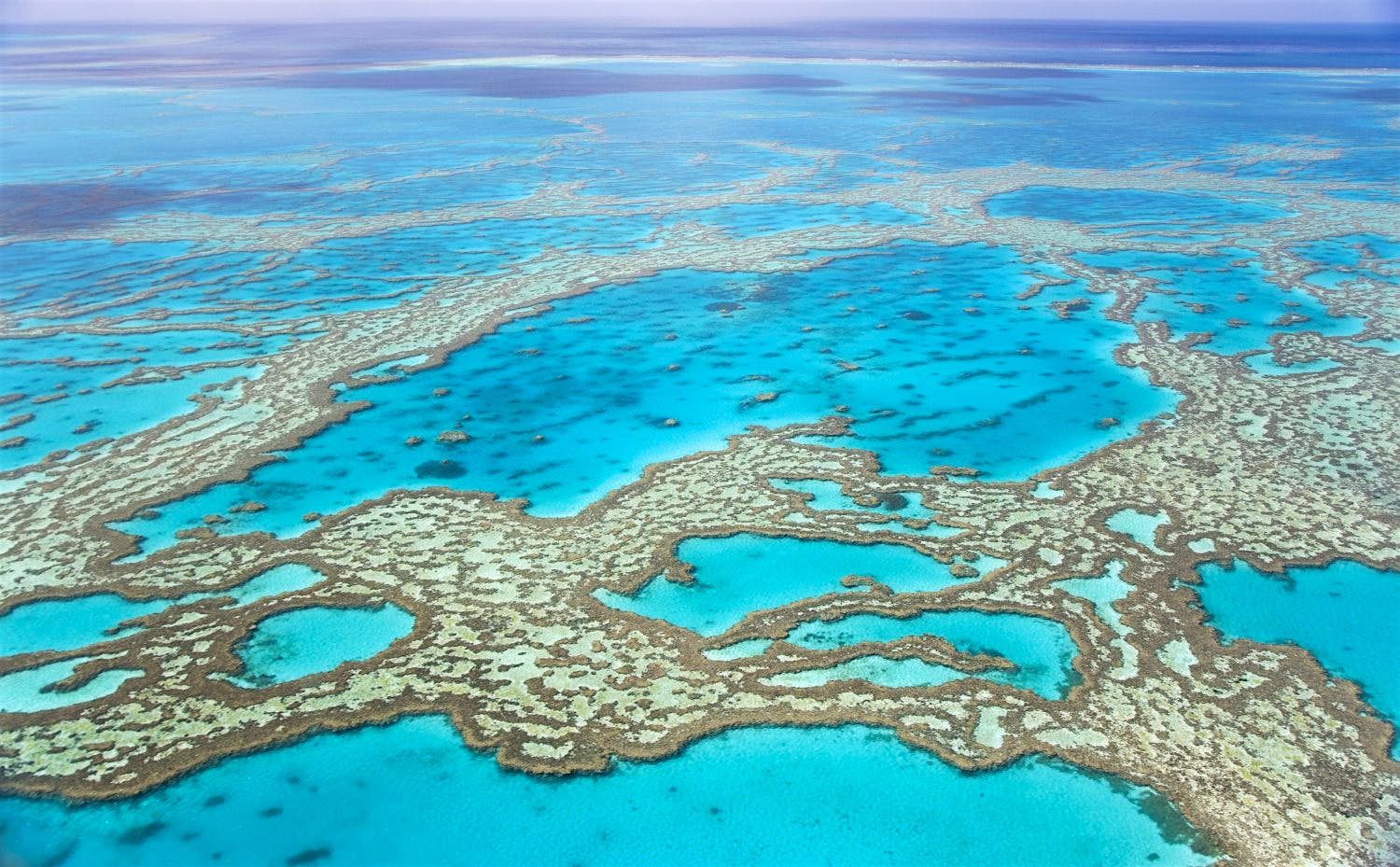 Travel News - Great Barrier Reef with blue ocean Travel News - Great Barrier Reef with blue ocean