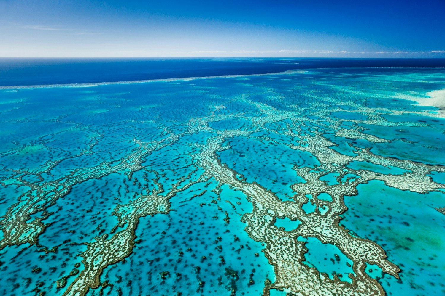 Aerial view of coral formations at the Great Barrier Reef 