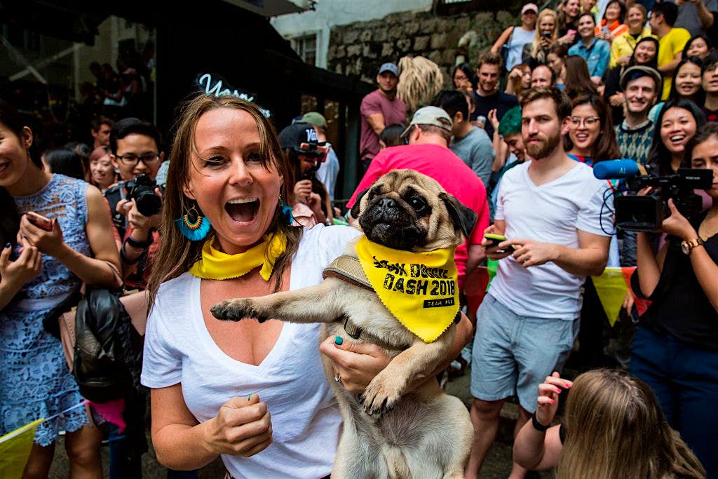 Travel News - HONG KONG-ANIMAL-DOGS Travel News - HONG KONG-ANIMAL-DOGS