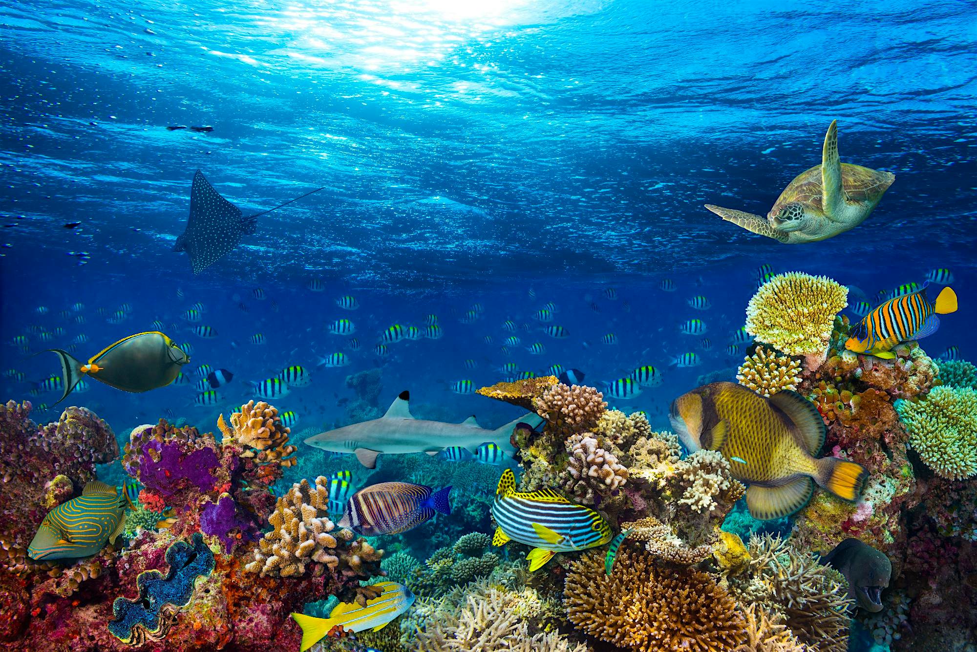 Travel News - GettyRF_642258728 - Edited Travel News - GettyRF_642258728 - Edited