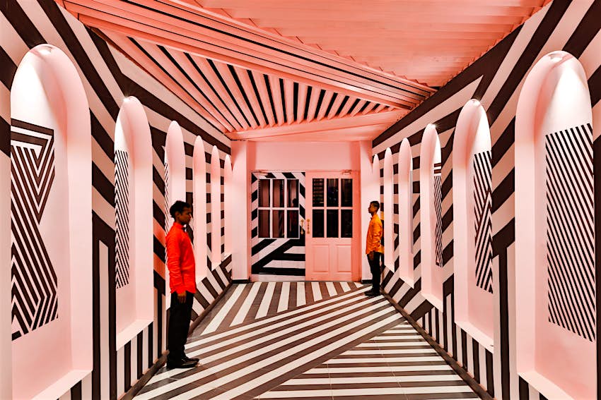 Travel News - The Pink Zebra Feast India Feast India Company