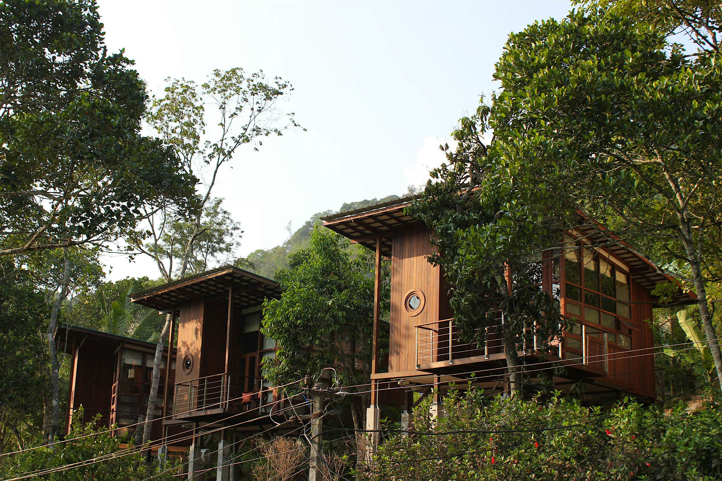 Travel News - Tree Huts Cardamom Club The Cardamom Club cabins in Thekkady, Kerala.