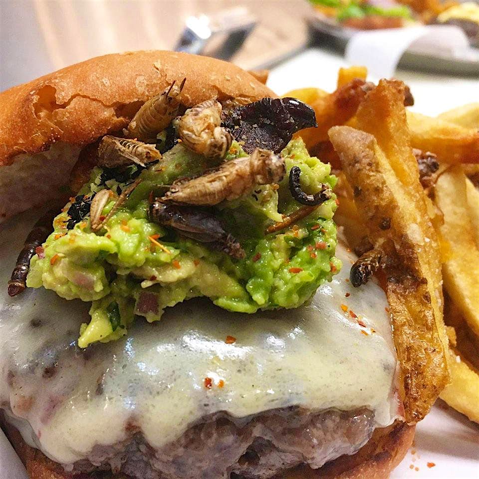 Travel News - bugburger You can try a bug burger at this restaurant too
