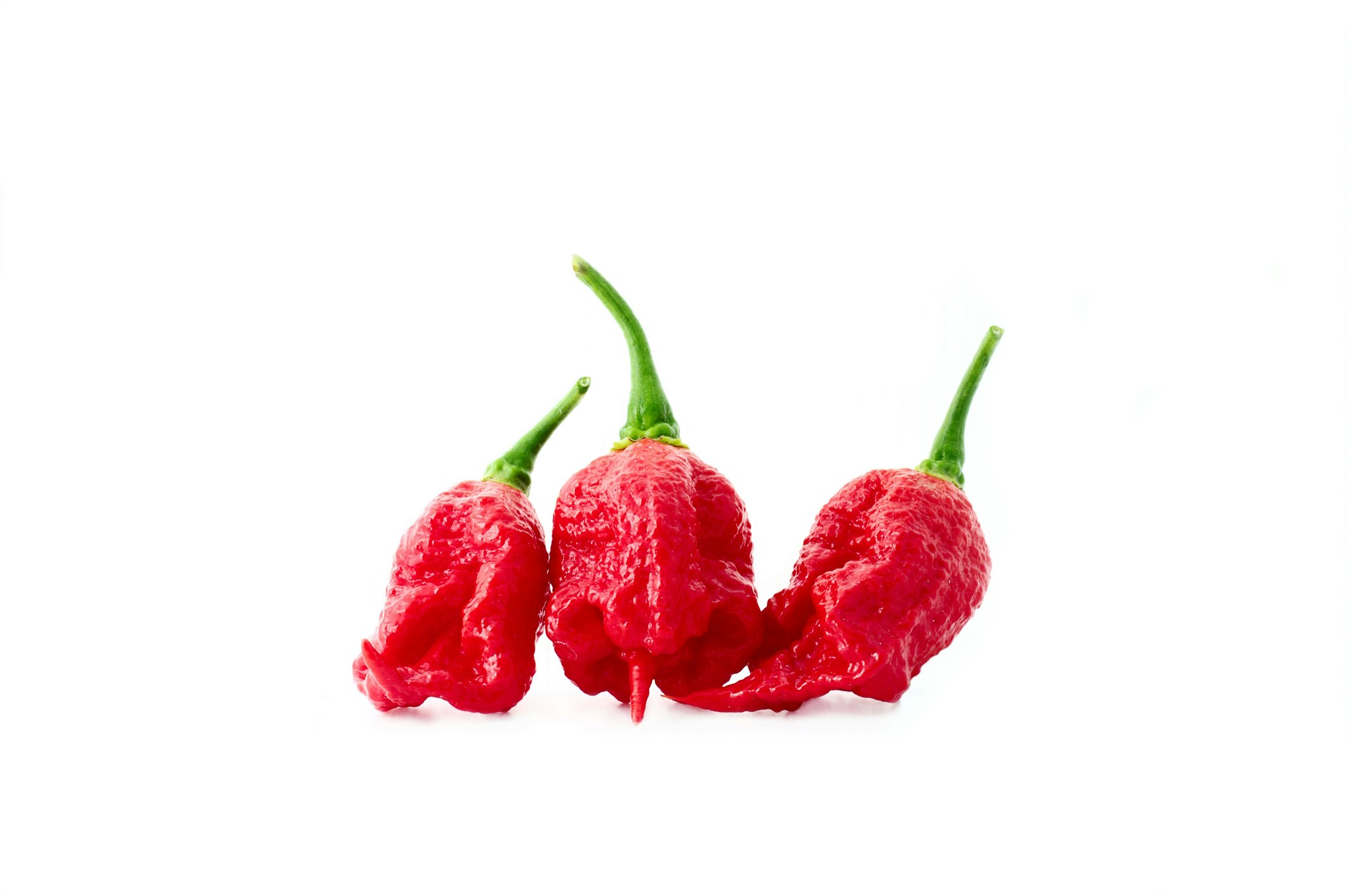 Travel News - Close-Up Of Carolina Reapers Over White Background