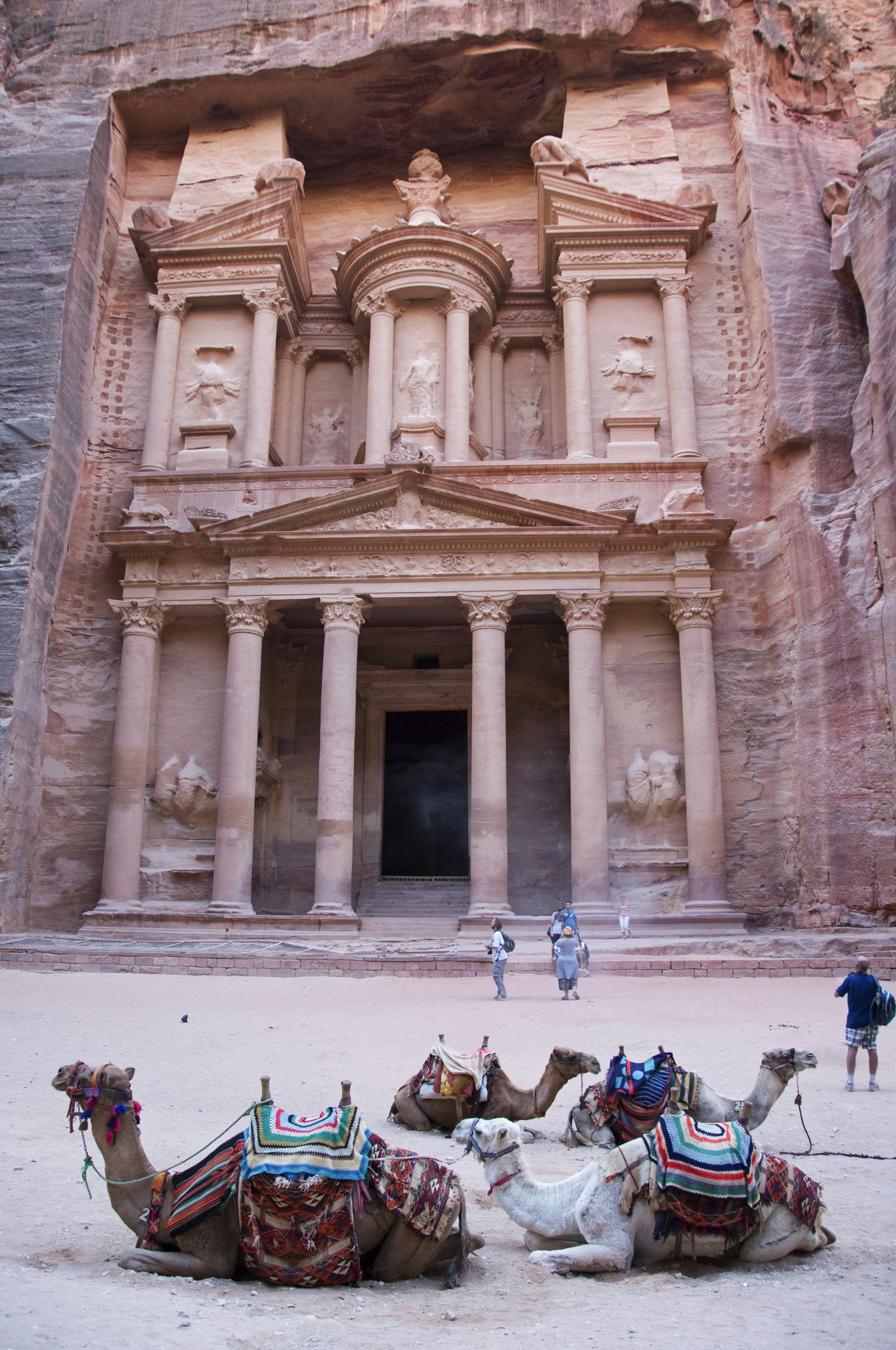 Travel News - Camels in front of Al Kazneh (The Treasury).