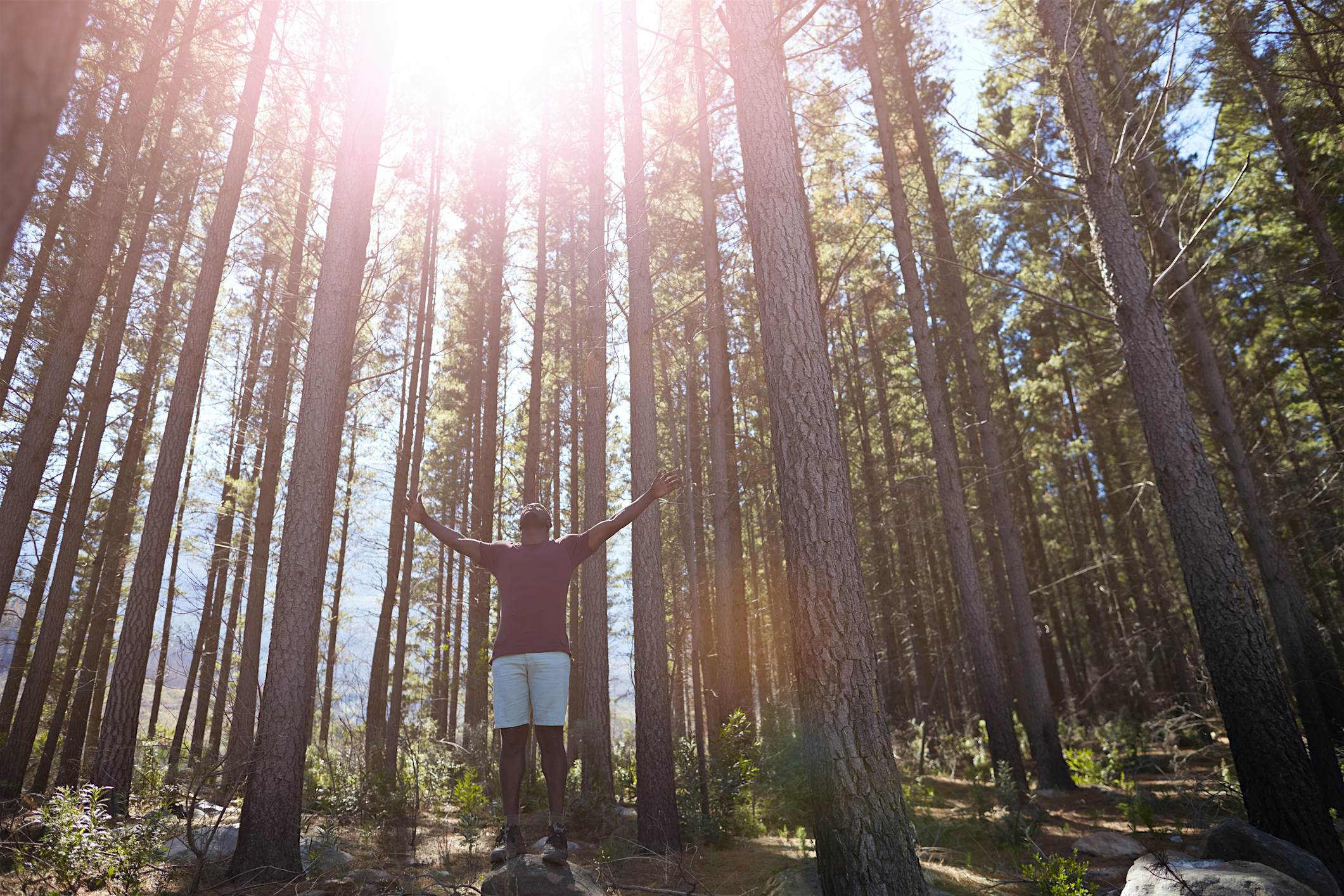 Travel News - Man enyoing the sun & trees in the forrest Travel News - Man enyoing the sun & trees in the forrest