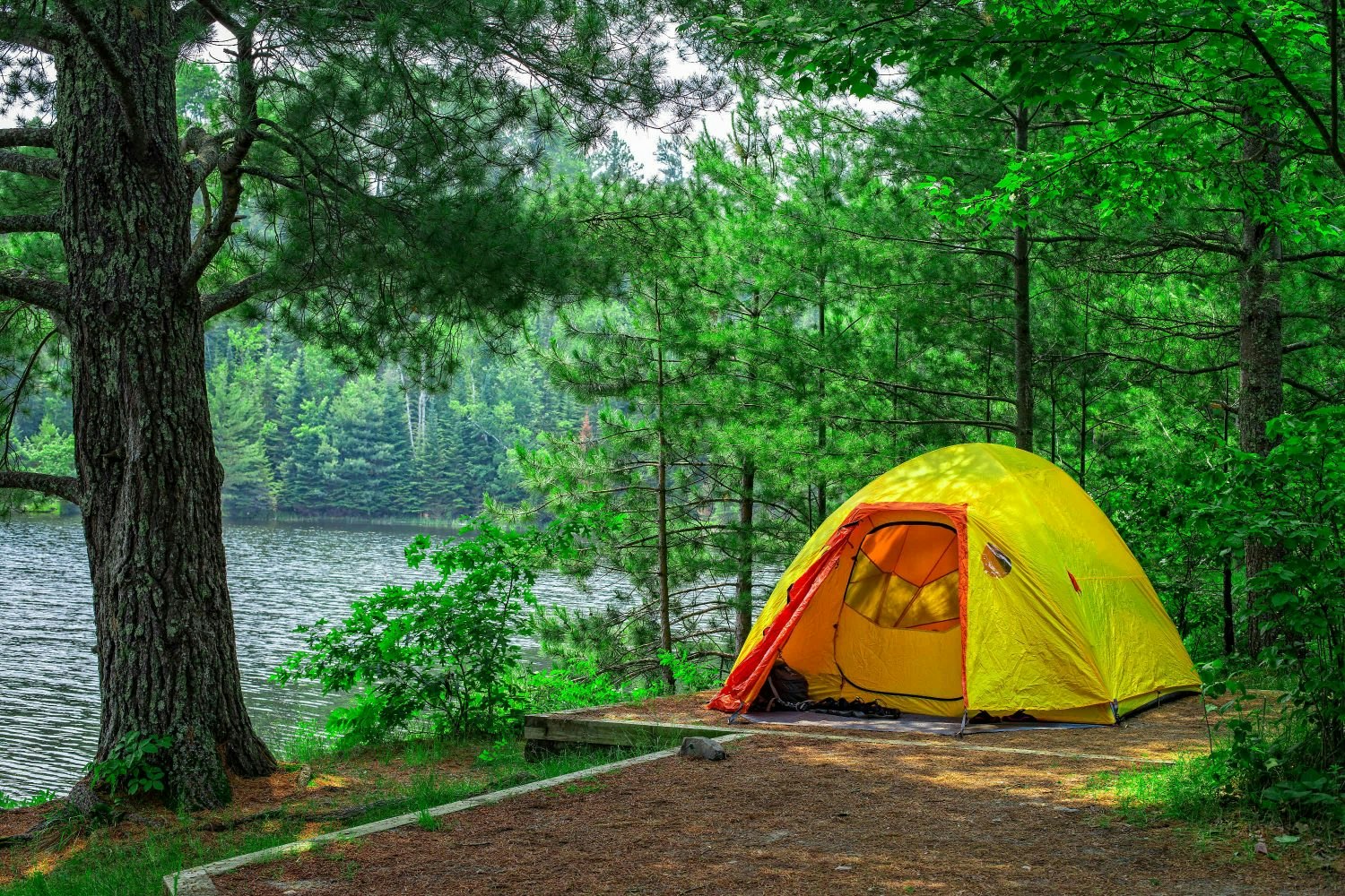A tent in a forest in Minnesota