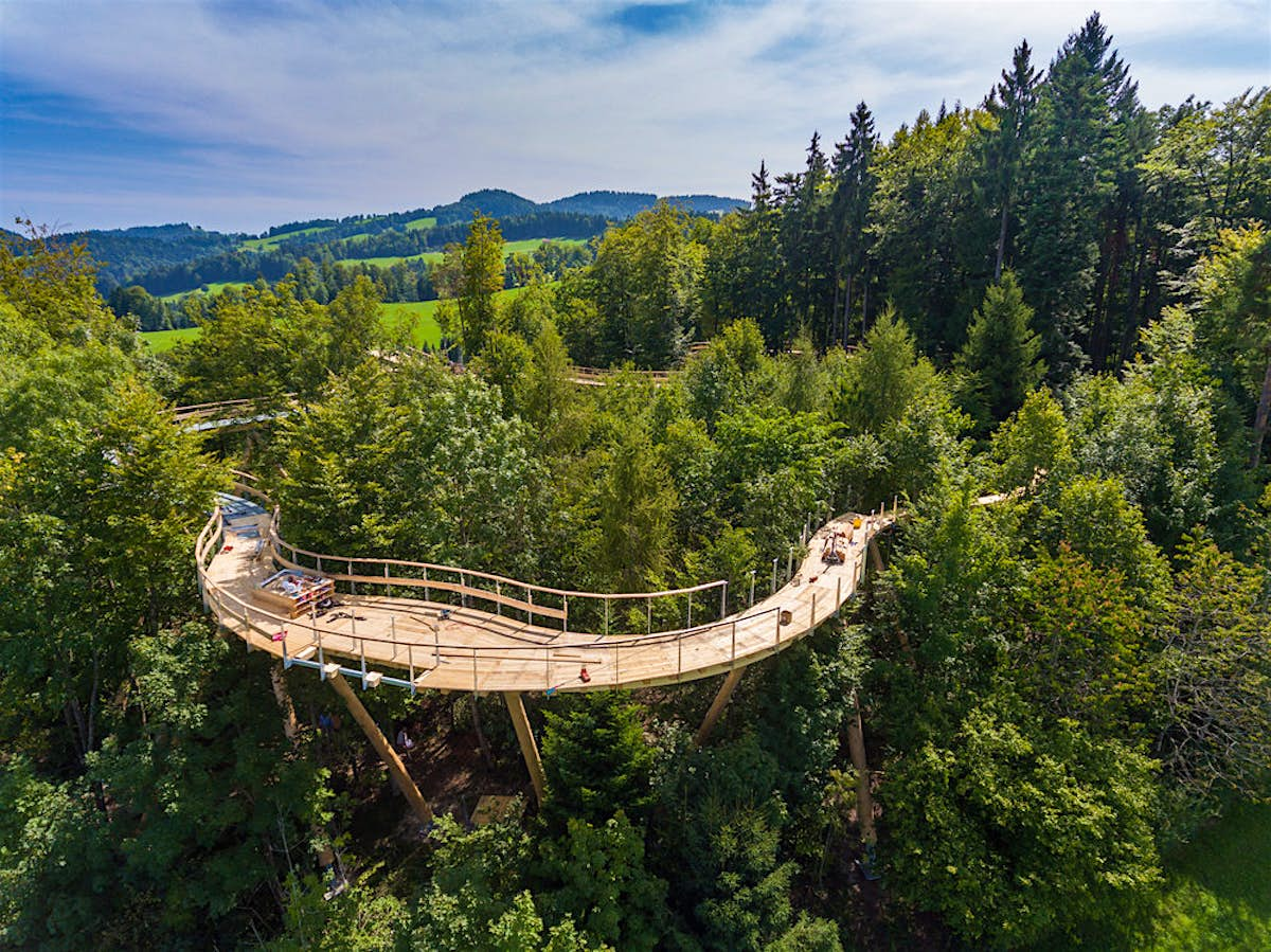 Switzerland gets its first treetop canopy walkway - Lonely ...