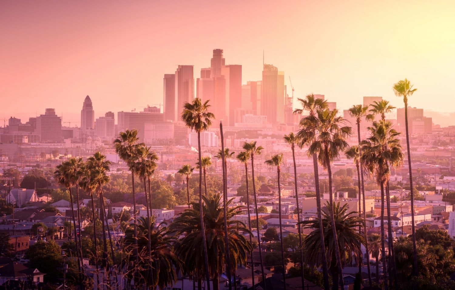 Vacker solnedgång i Los Angeles stadssilhuett och palmer i förgrunden