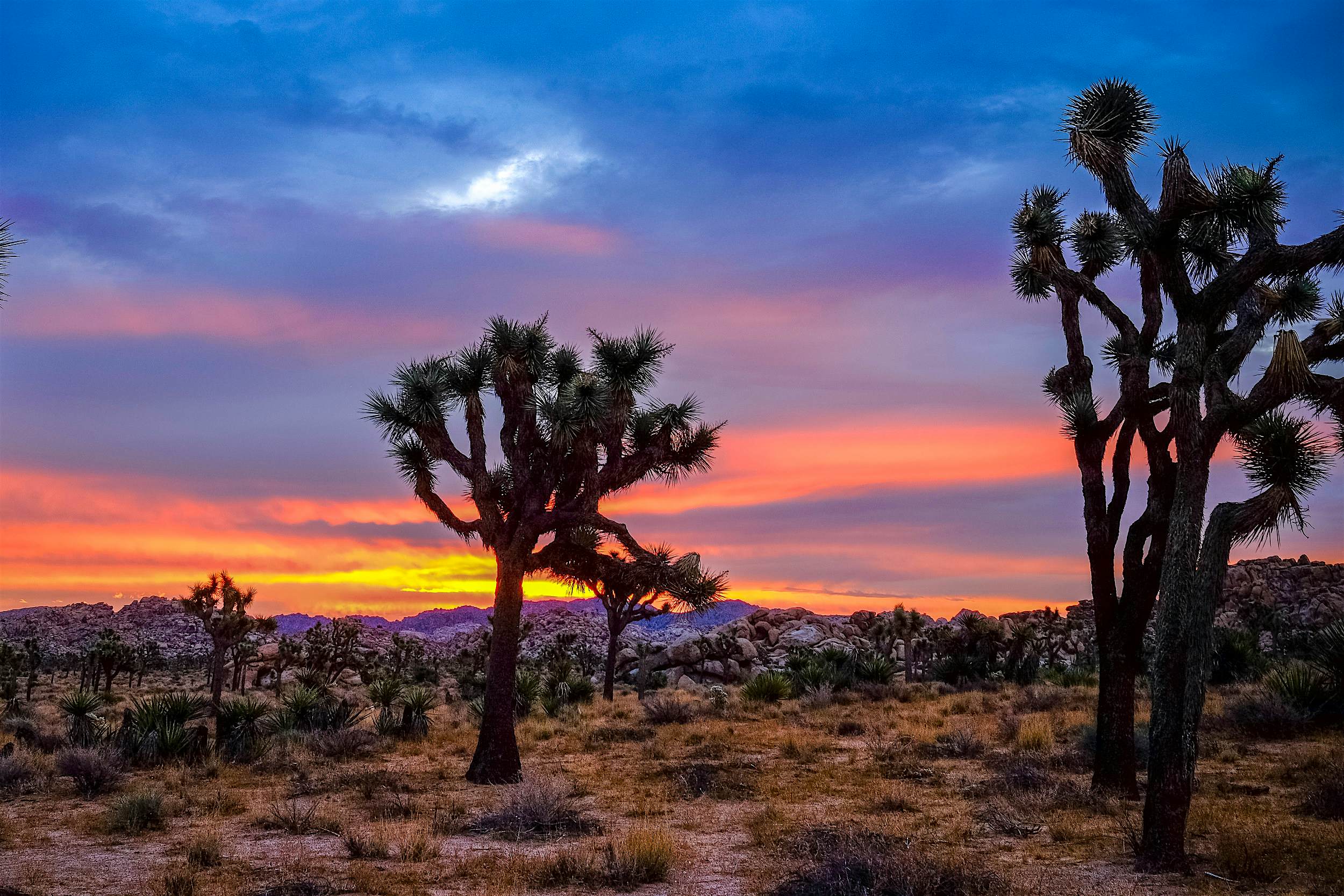 Travel News - Joshua Tree National Park Joshua Tree National Park at sunset.