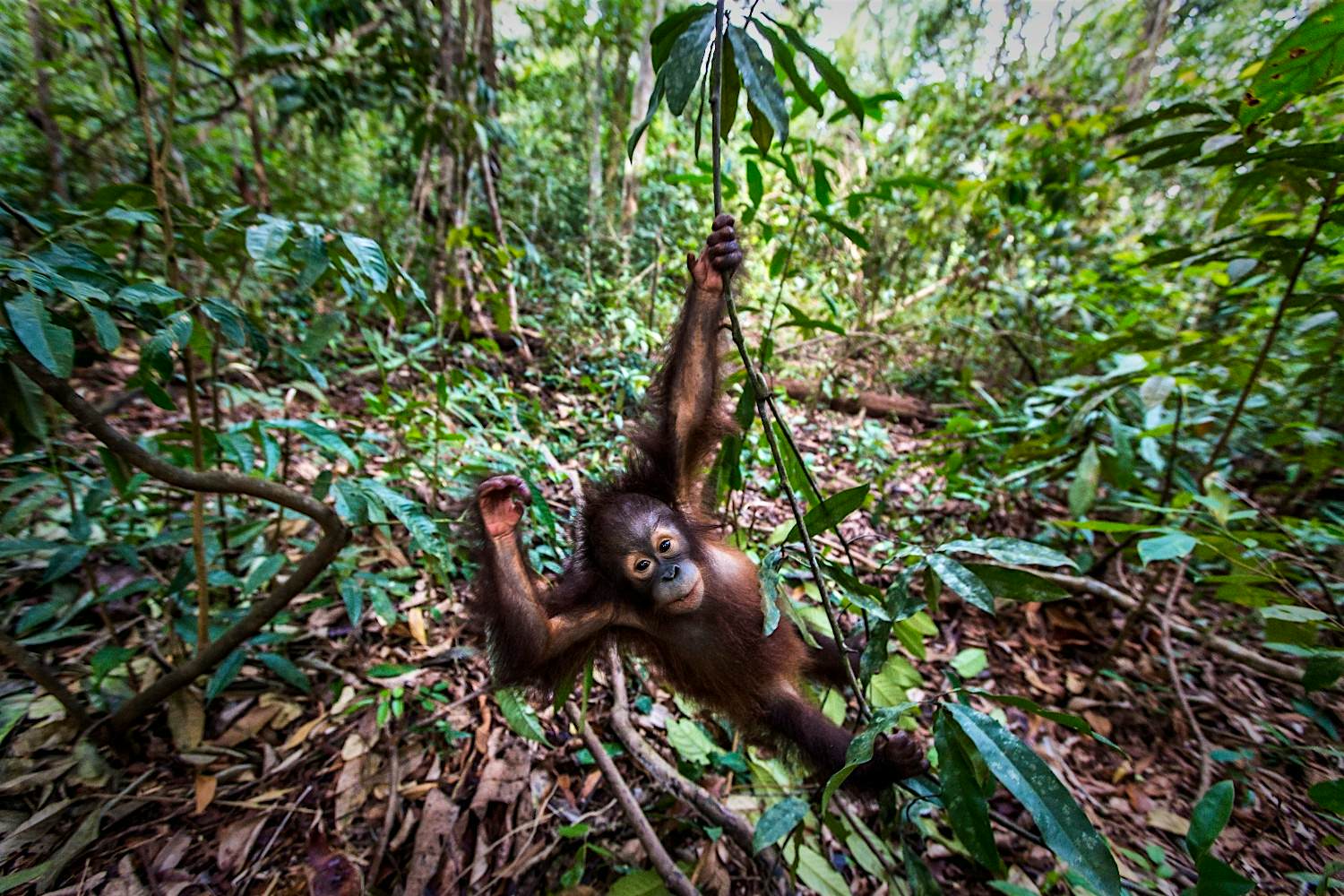 Travel News - VIER PFOTEN_2018-03-30_163 Travel News - VIER PFOTEN_2018-03-30_163
