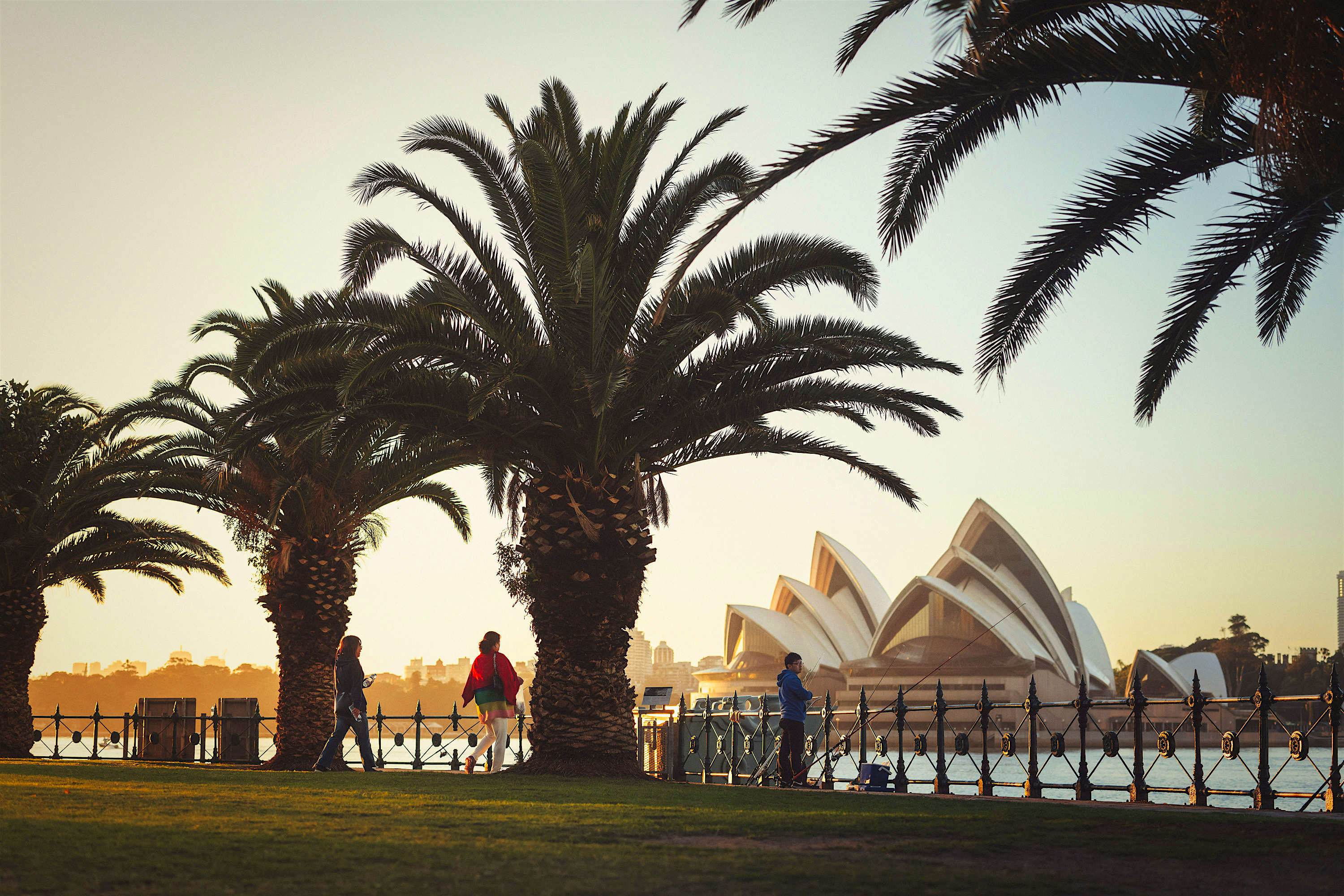 Travel News - Sydney Harbour Travel News - Sydney Harbour