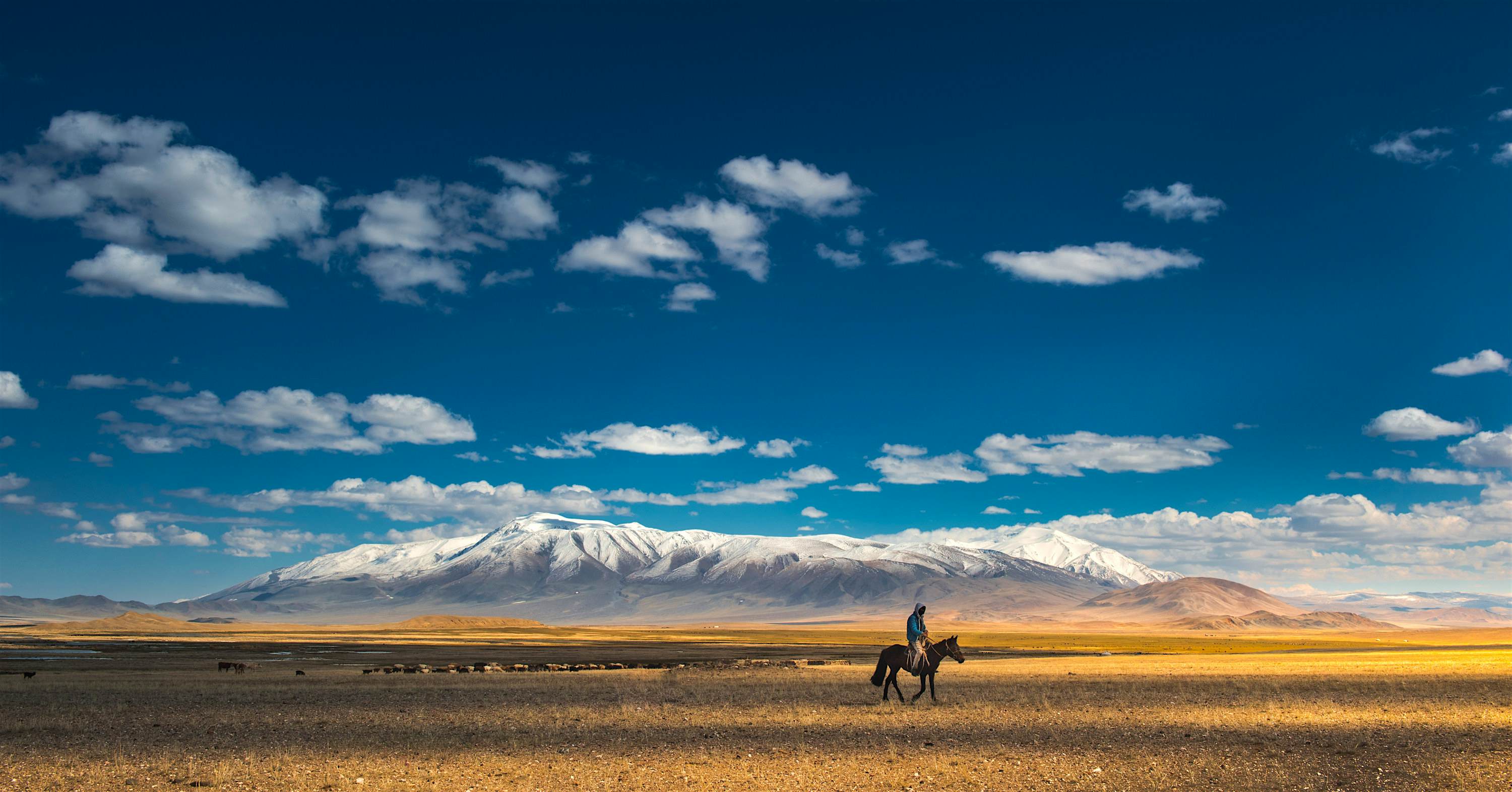Travel News - mongolia Travel News - mongolia