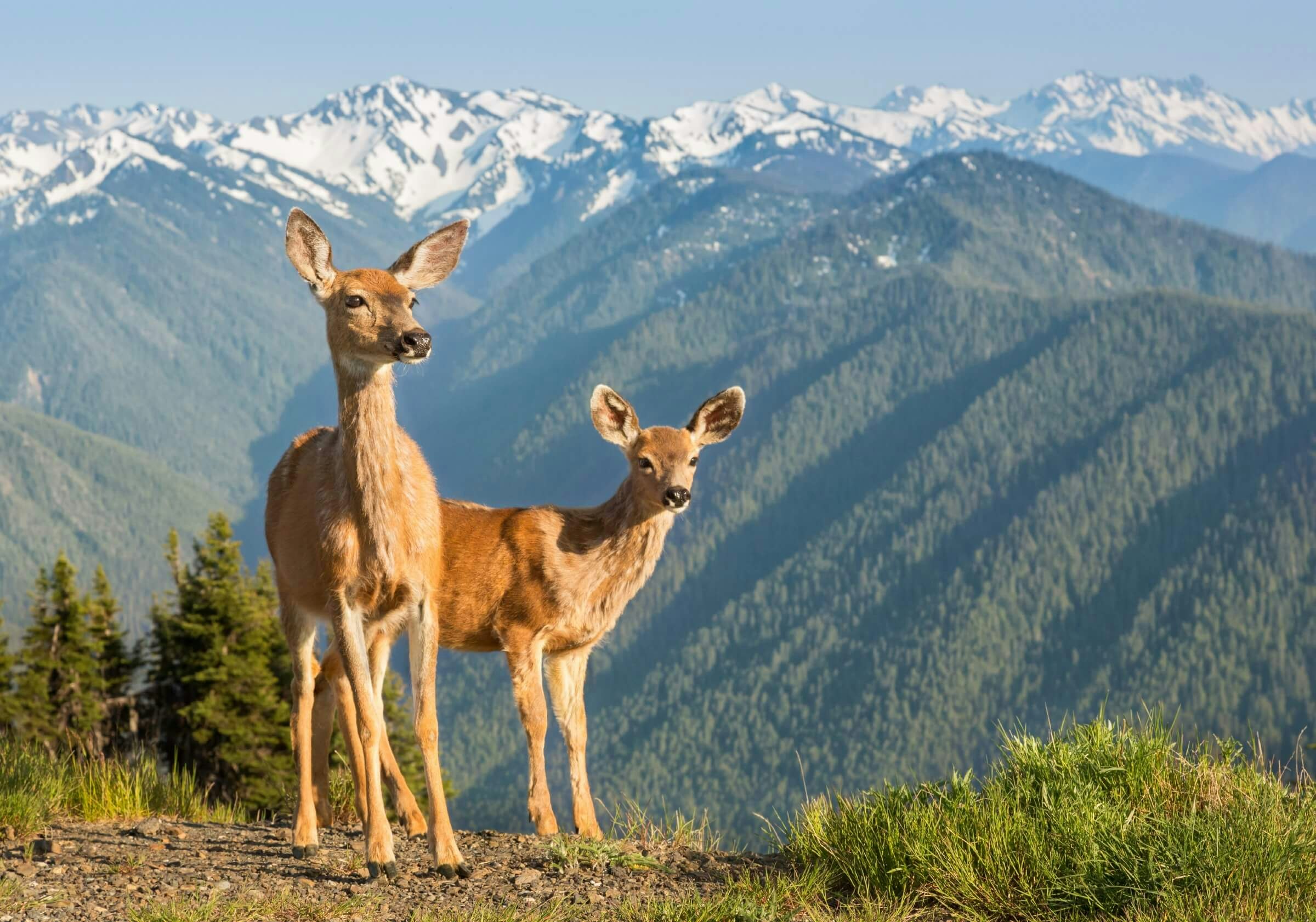 Travel News - quietest place in usa