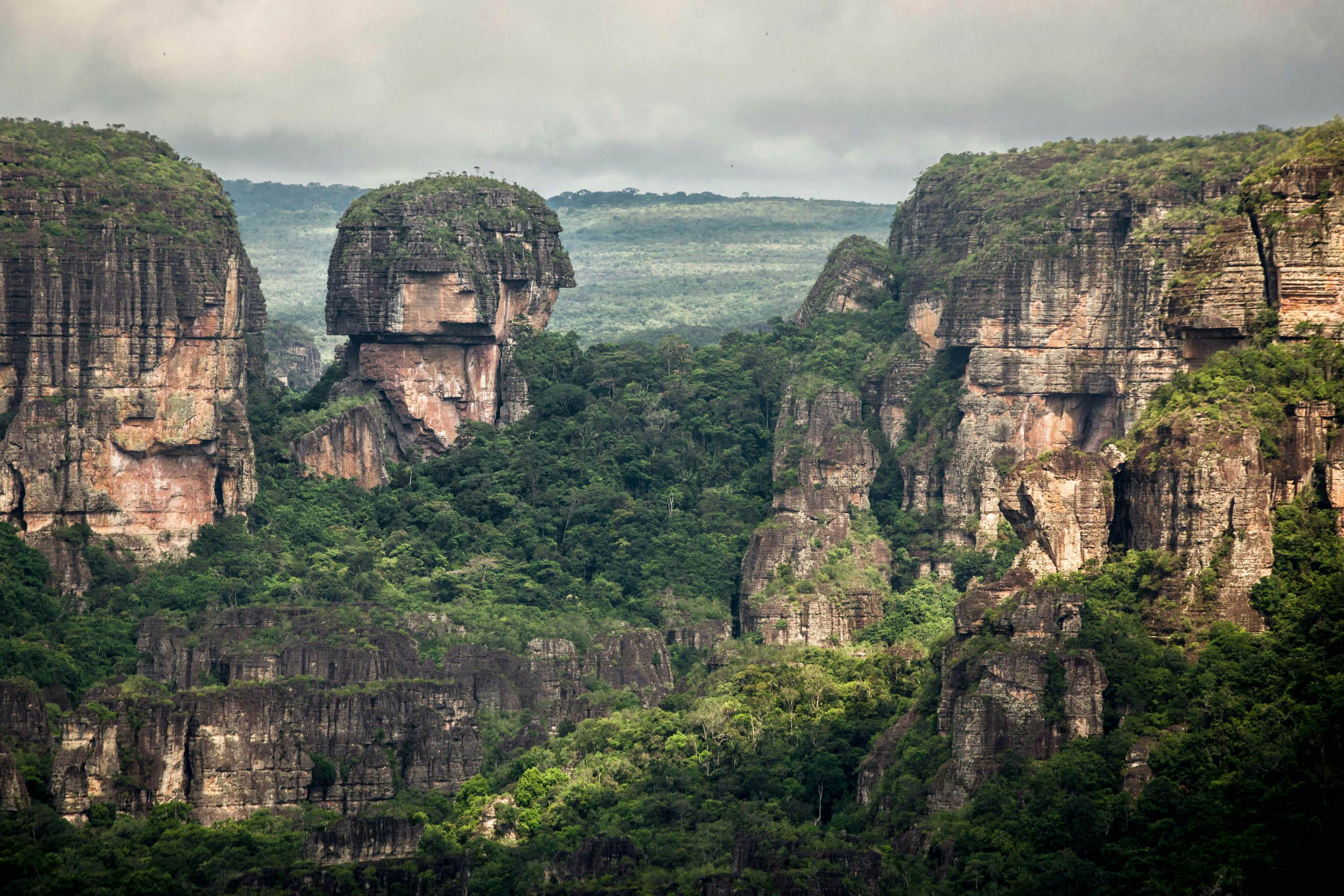 ballon tidligste Kridt Colombia now has the world's largest tropical rainforest national park