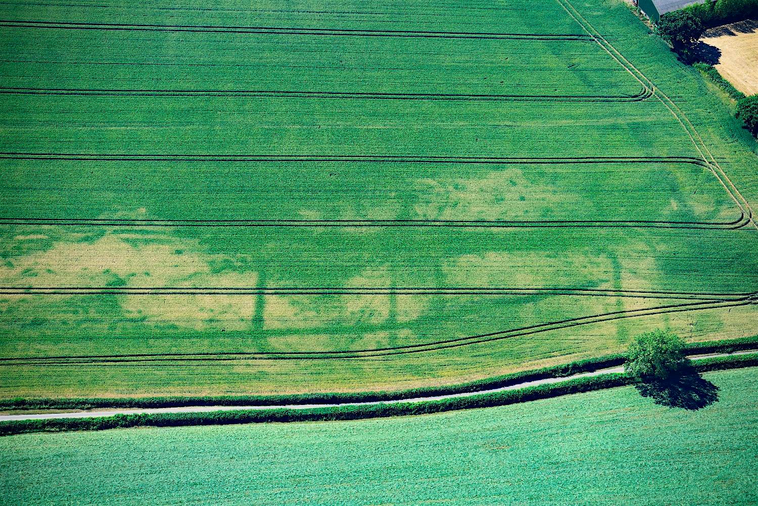 Travel News - 4. Roman site near Magor, south Wales Travel News - 4. Roman site near Magor, south Wales
