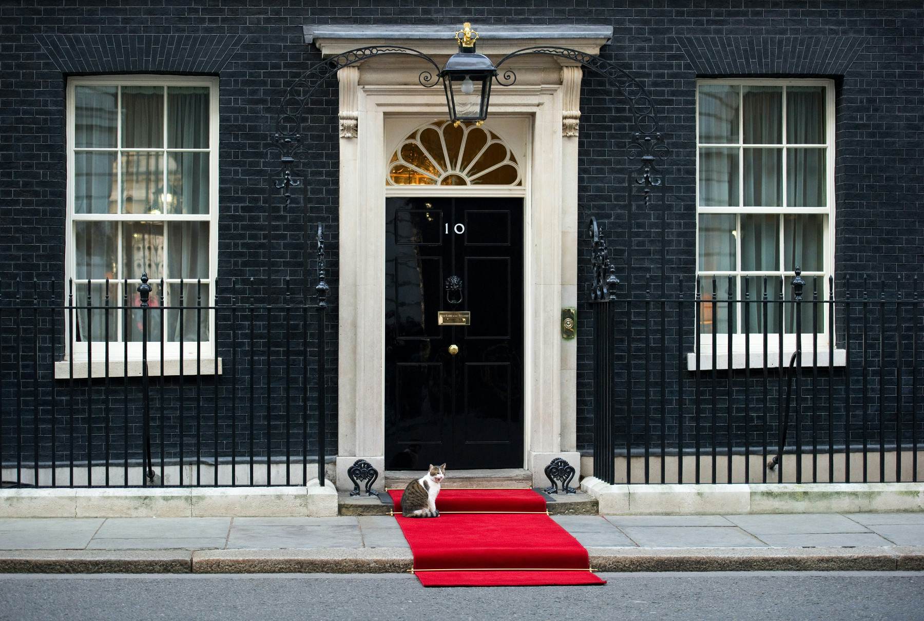 Get A Peek Into The Garden At 10 Downing Street In London   7 3 