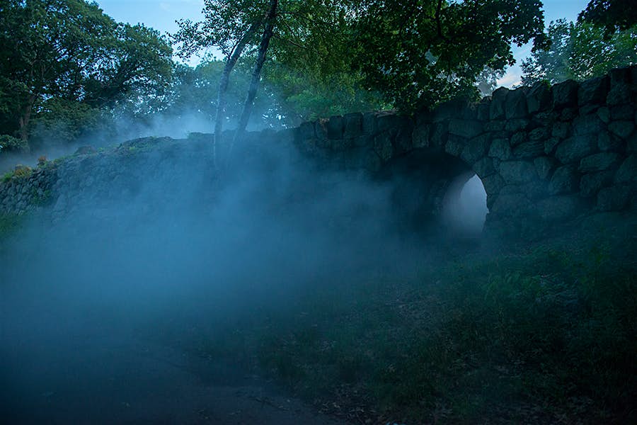 Travel News - Franklin-Park-22Fog-x-FLOs-Fog-x-Ruins22-by-Melissa-Ostrow-1 Travel News - Franklin-Park-22Fog-x-FLOs-Fog-x-Ruins22-by-Melissa-Ostrow-1