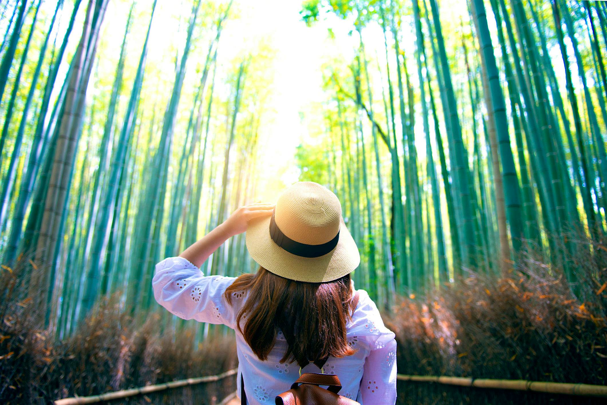 Travel News - japan Travel News - japan