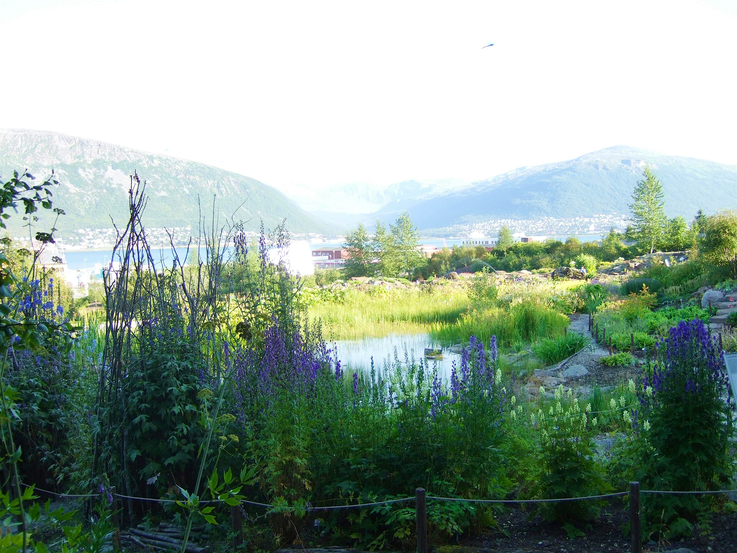 Travel News - Arctic-Alpine Botanical Gardens Travel News - Arctic-Alpine Botanical Gardens