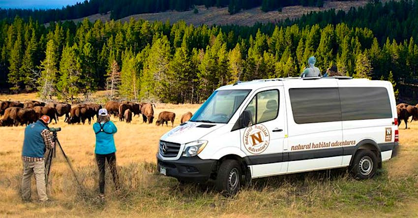 Travel News - rsz_natural_habitat_adventures_hiddenyellowphoto22 Travel News - rsz_natural_habitat_adventures_hiddenyellowphoto22