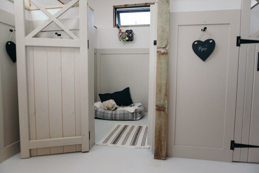 A boutique hotel for dogs has opened in Wilshire, England Lonely