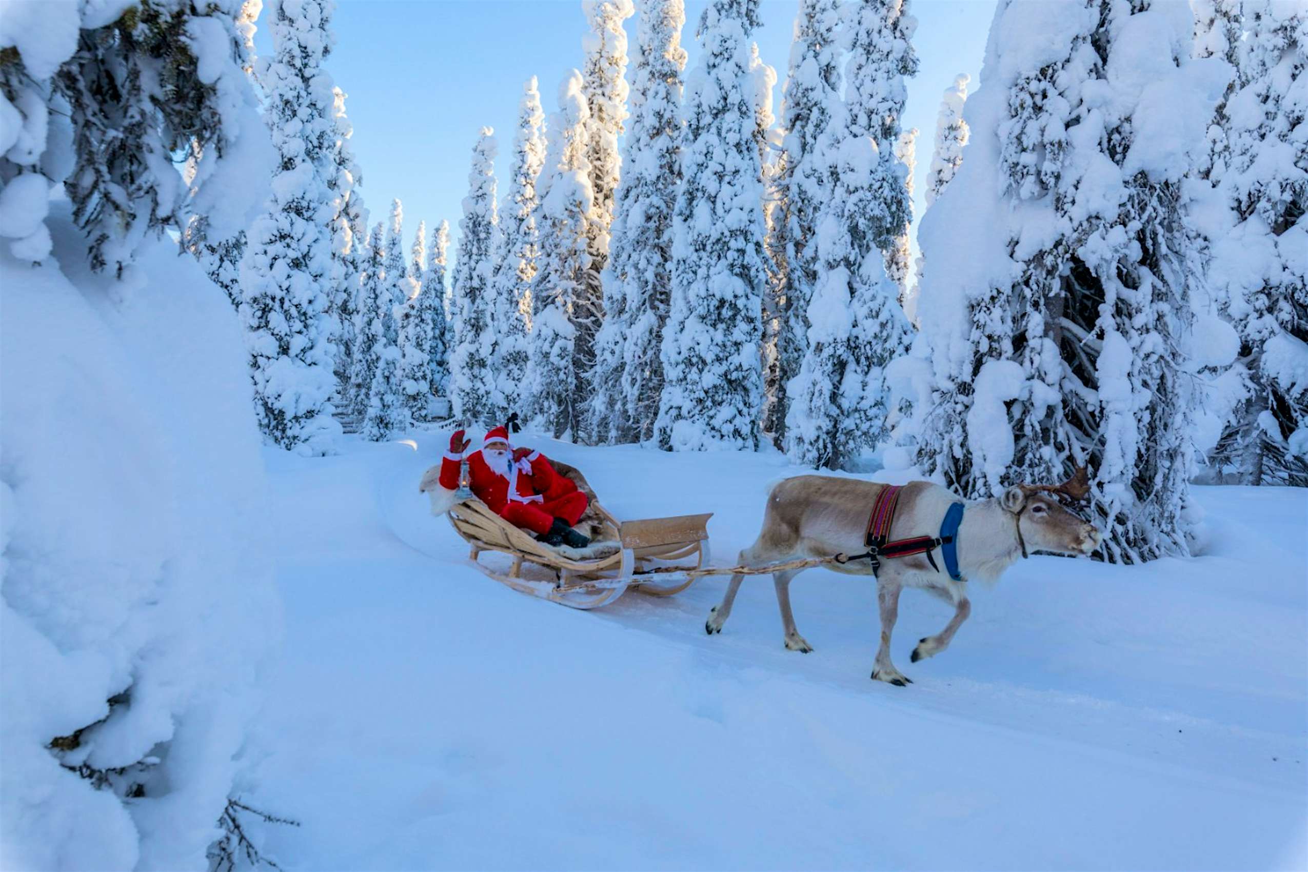Rising temperatures mean there isn't much snow in Lapland this Christmas