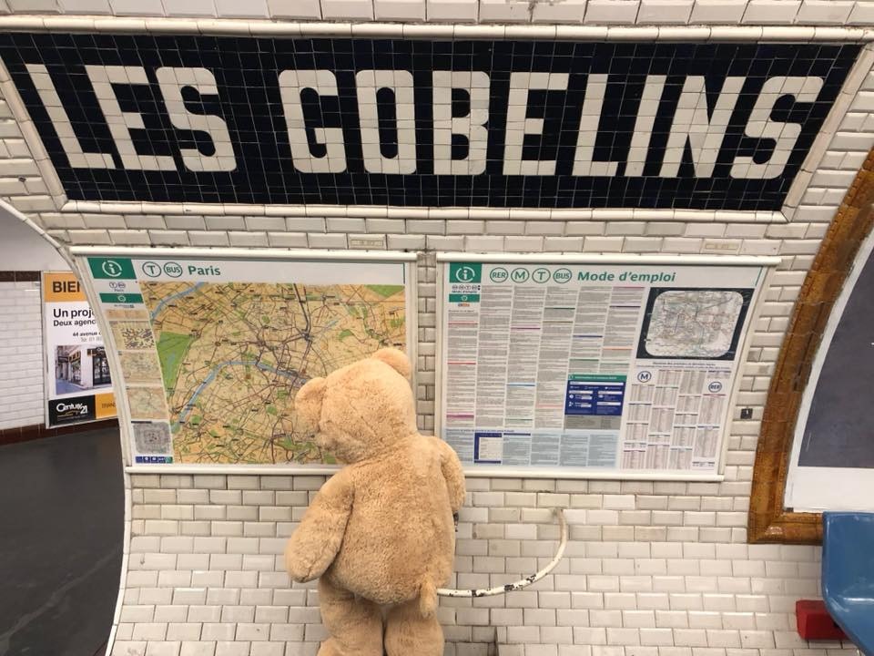 Travel News - bears on metro
