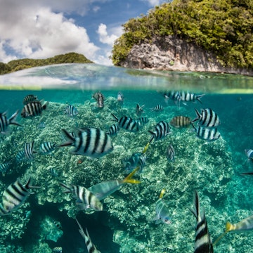 Travel News - palau