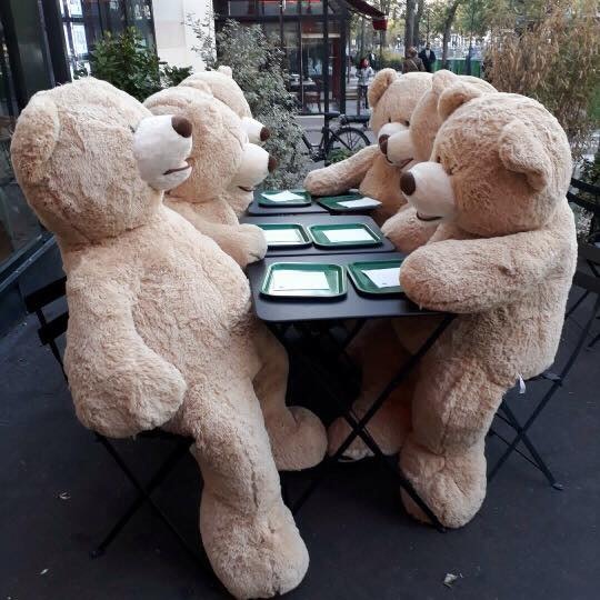 Travel News - teddy bears at lunch