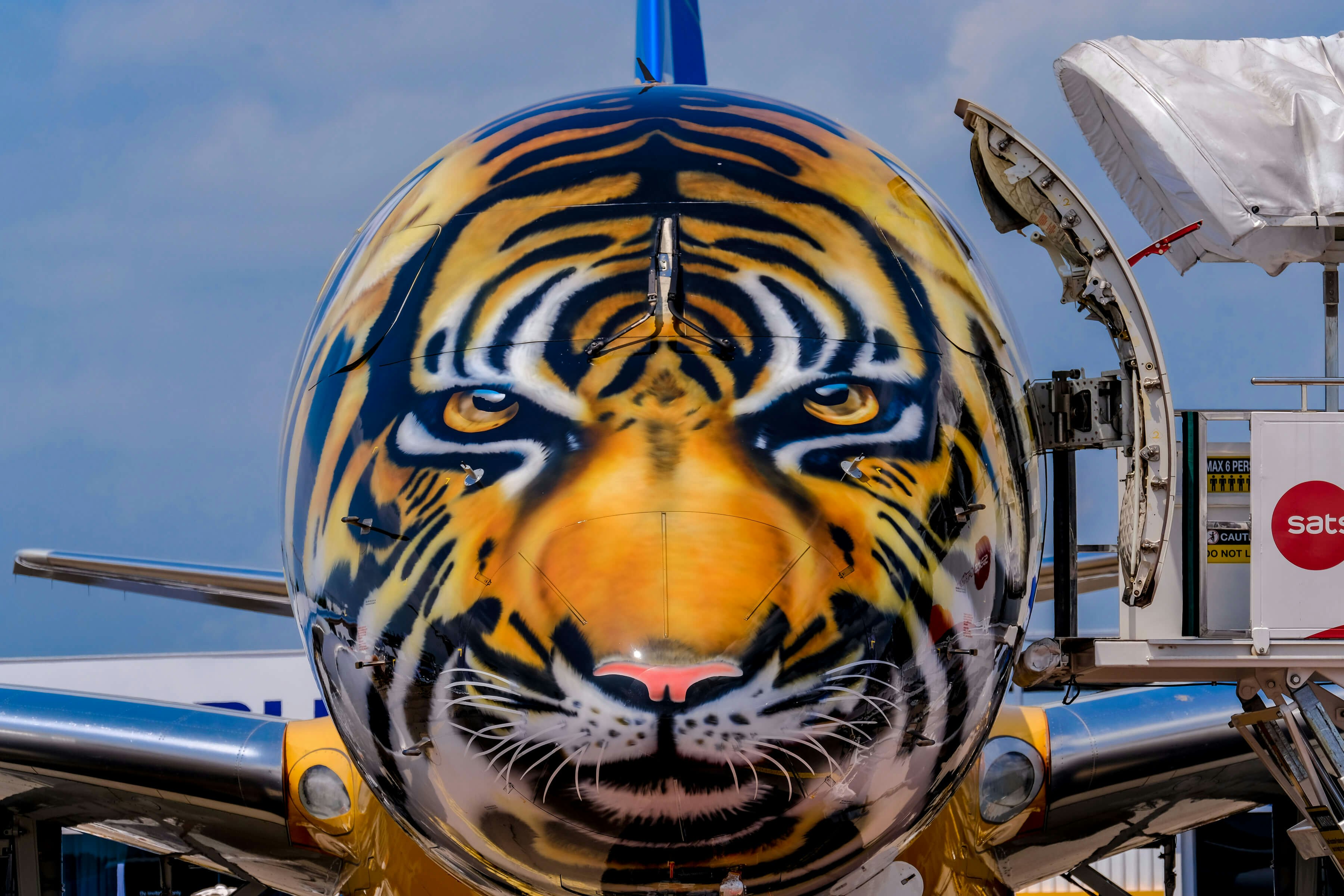Travel News - tiger plane