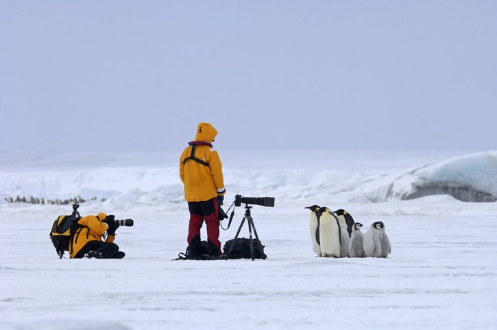 Travel News - Emperor Penguins and tourists