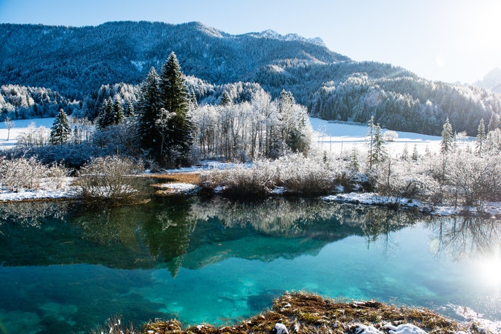 Travel News - Zelenci in Winter