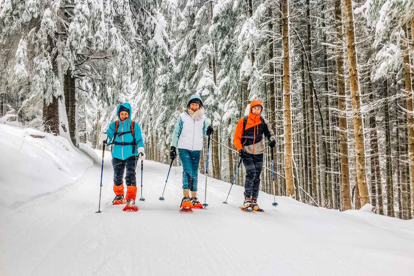 Travel News - airbnbwintersnowshoes
