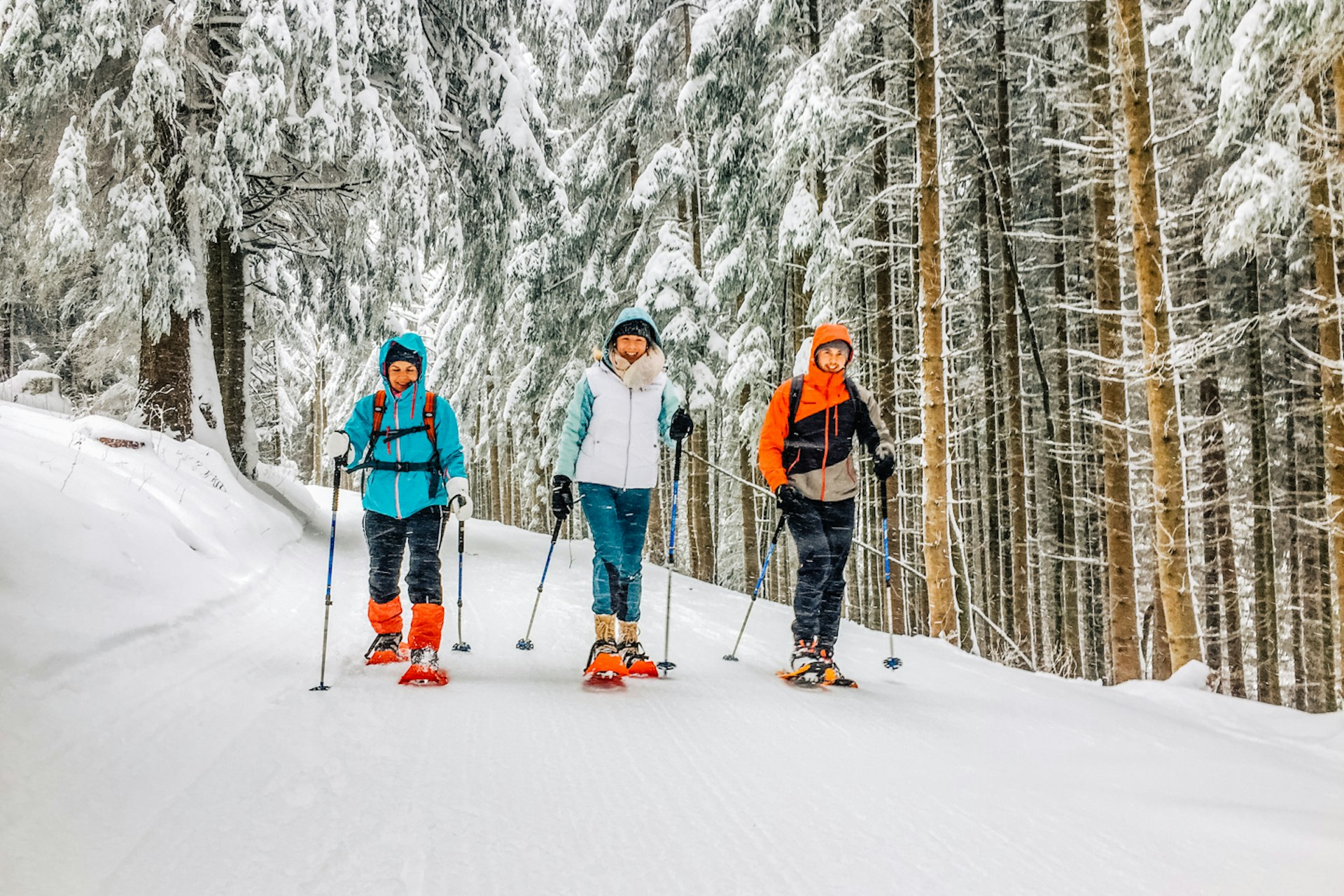 Travel News - airbnbwintersnowshoes