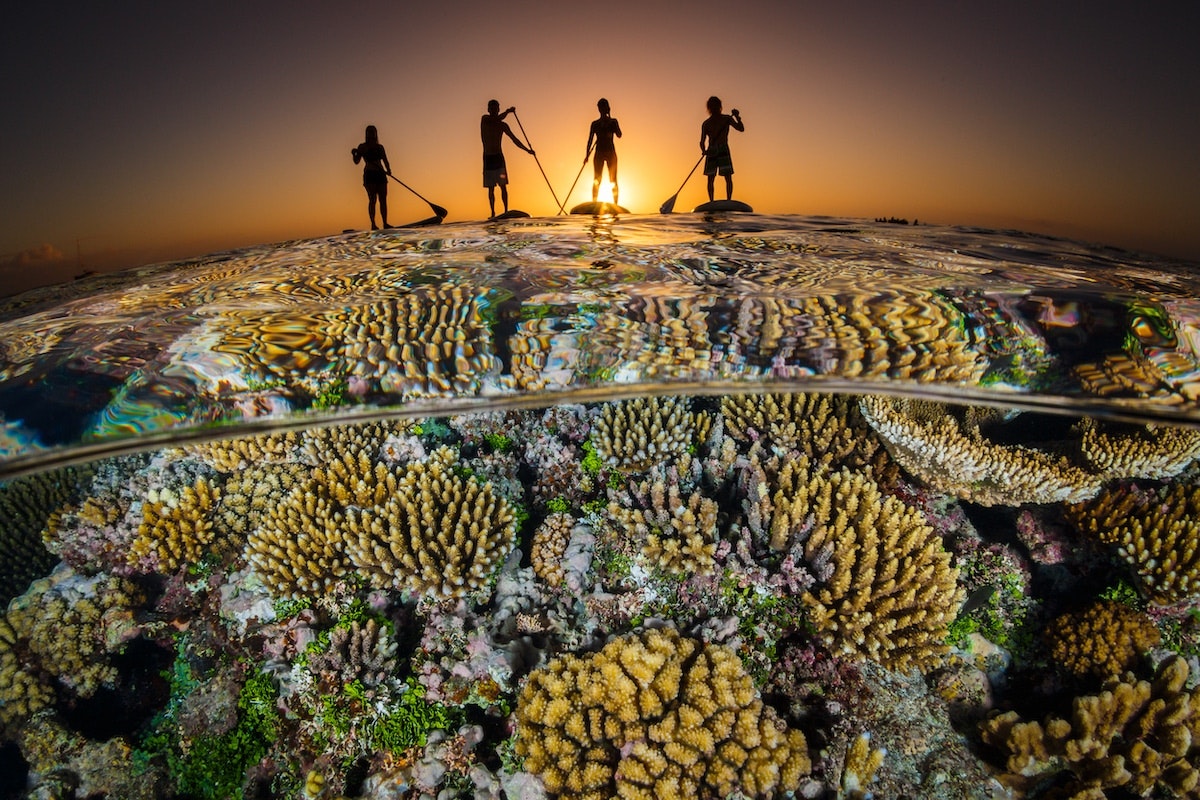 Travel News - Ocean-Art-Underwater-Photo-Competition-Wide-Angle-Grant-Thomas-Paddle-boarders-sunset.-