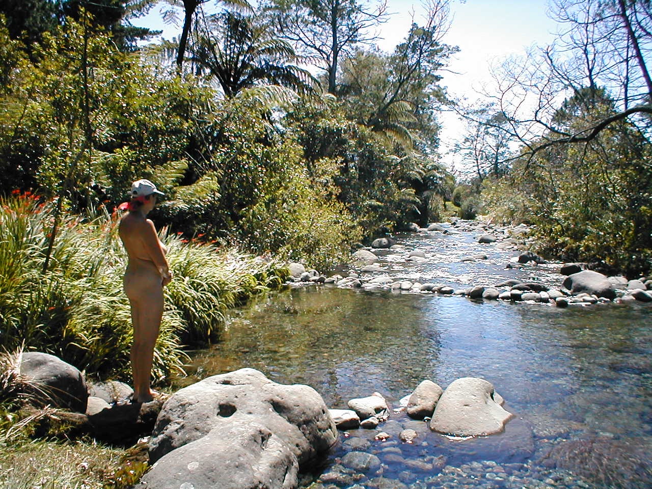 Travel News - Katikati Nudist Park