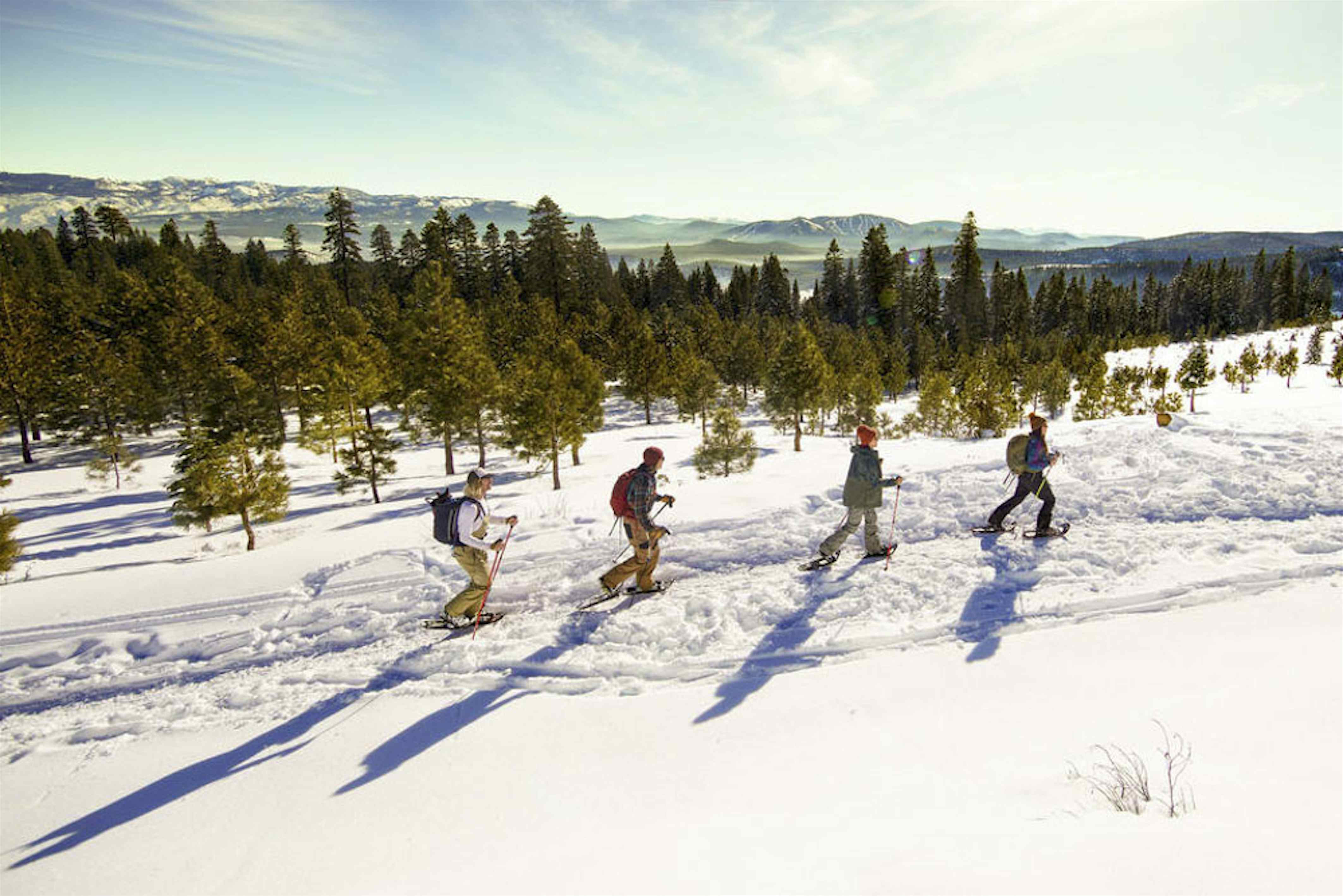 Airbnb has listed all of its best snow experiences for one last winter