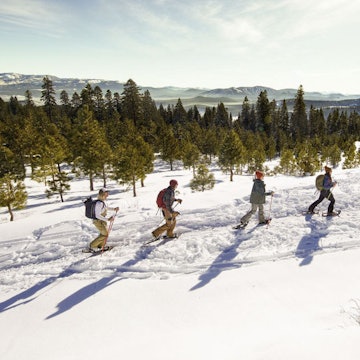 Travel News - airbnbwinter