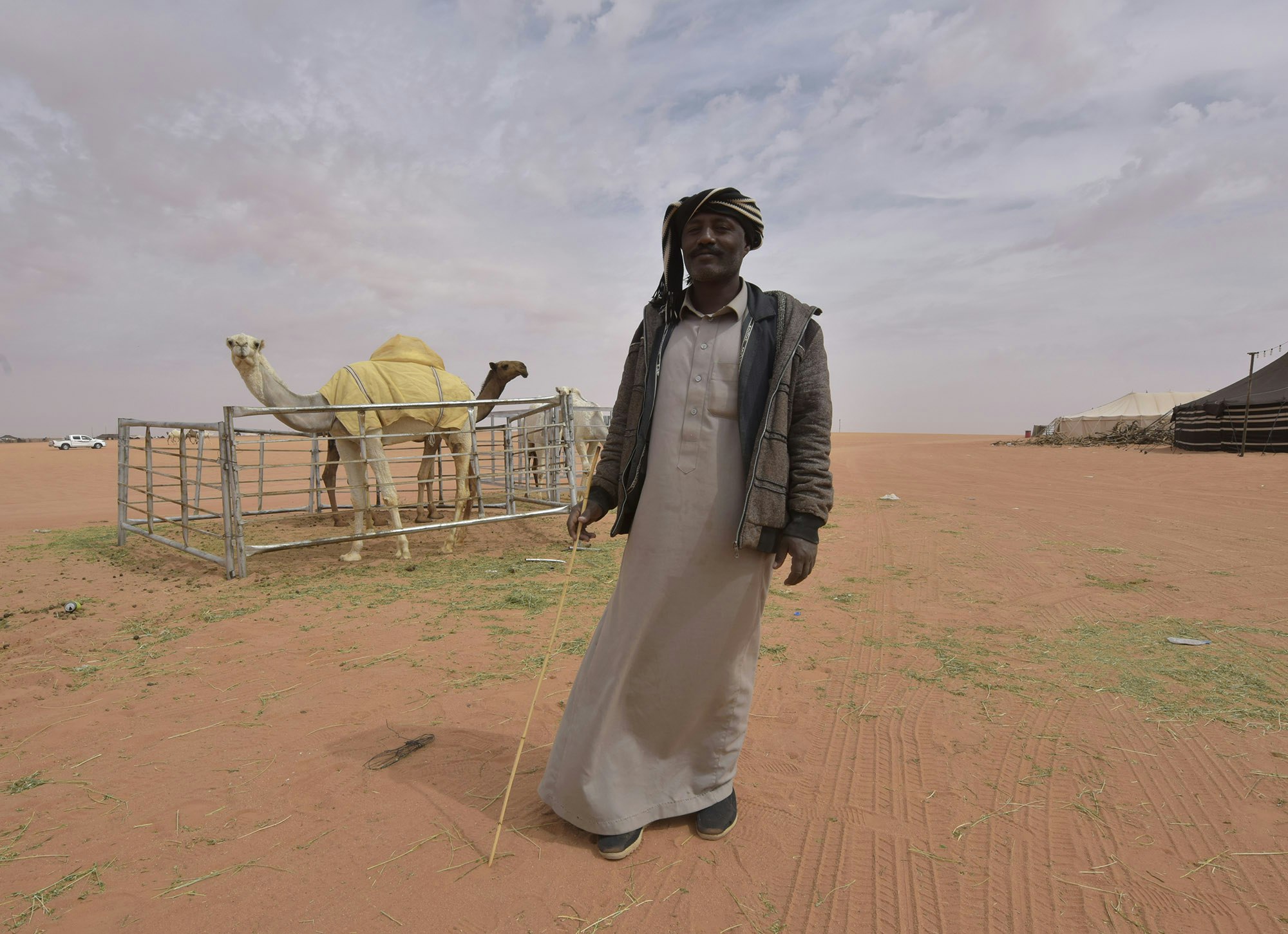Travel News - Saudi Camel herder
