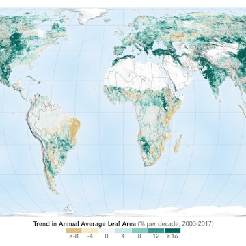 Travel News - nasa greening