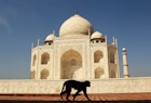 Travel News - Scenes Of India