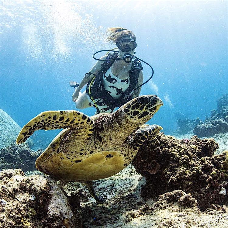 Travel News - Batoko Travel News - Batoko