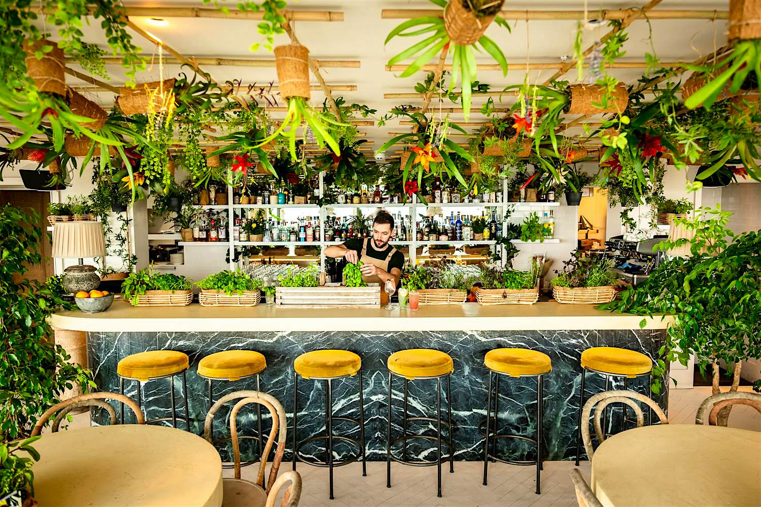 Travel News - Living Bar 1 Travel News - Living Bar 1