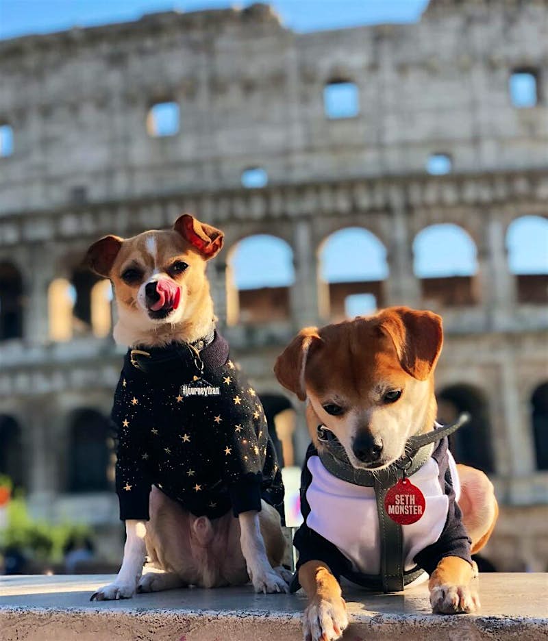 Travel News - jonathanwarren_travel_rome1 Travel News - jonathanwarren_travel_rome1